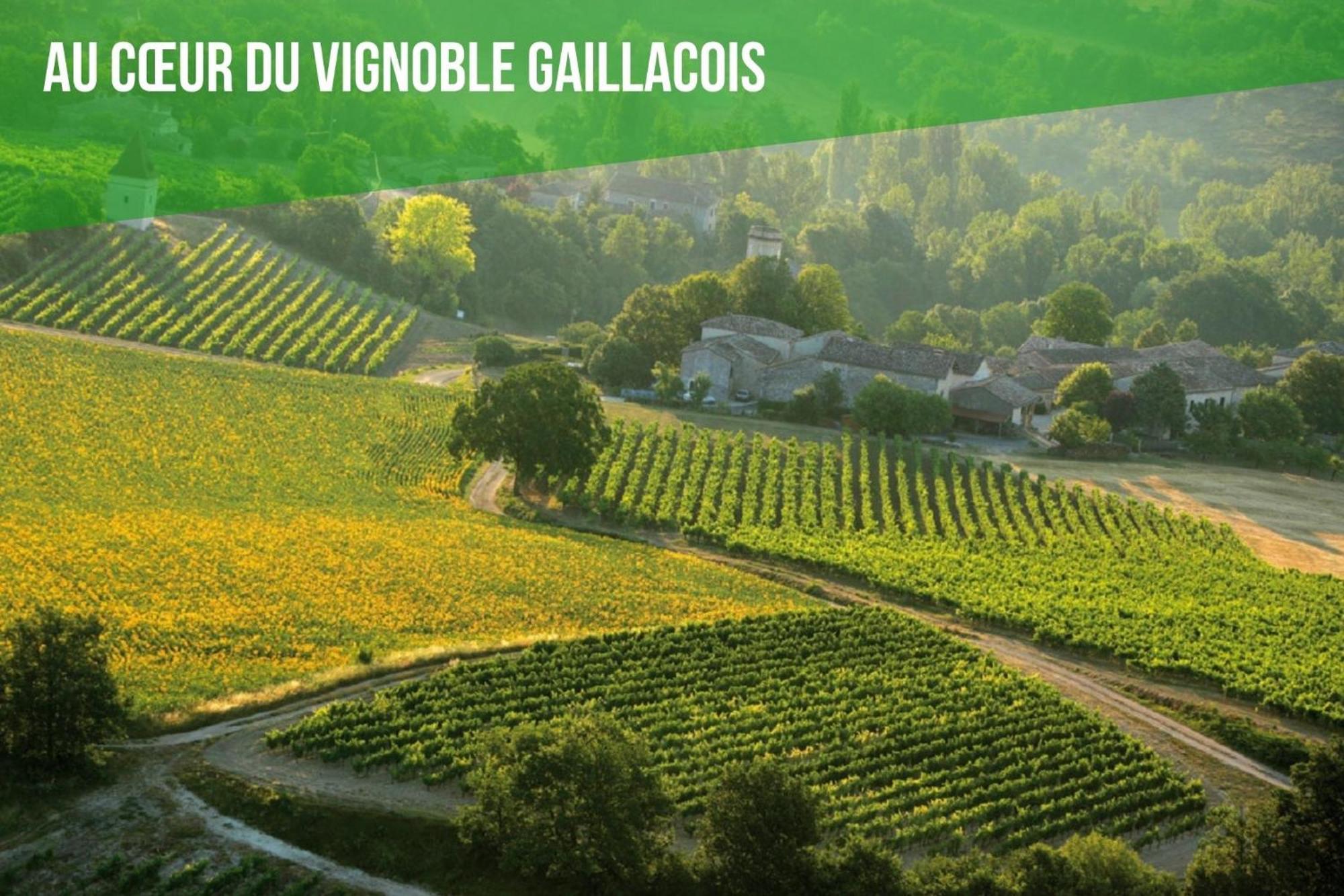 Le Cottage Nature Vigne Rouge Sauna Gaillac Entre Albi-Toulouse & Les Cottages Du Tarn 布朗斯 外观 照片