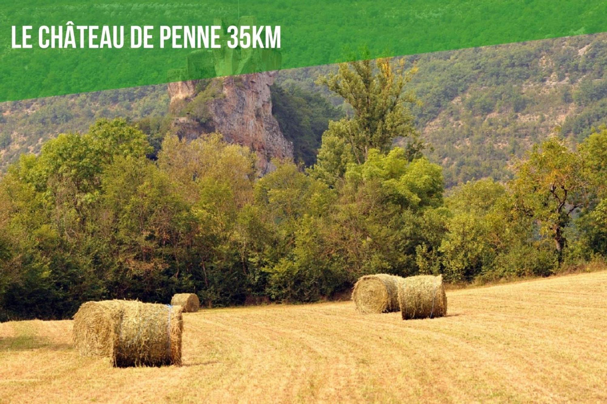 Le Cottage Nature Vigne Rouge Sauna Gaillac Entre Albi-Toulouse & Les Cottages Du Tarn 布朗斯 外观 照片