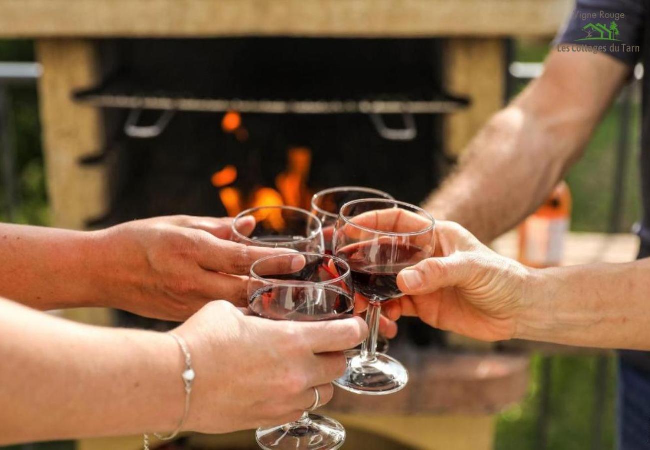 Le Cottage Nature Vigne Rouge Sauna Gaillac Entre Albi-Toulouse & Les Cottages Du Tarn 布朗斯 外观 照片